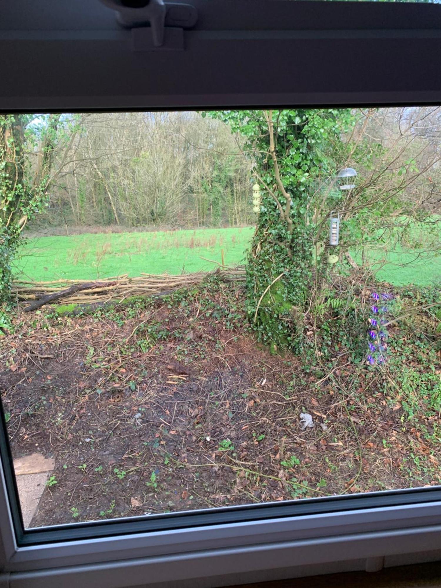 4 Devon Country, Bideford Bay Holiday Park Bucks Mills Bagian luar foto